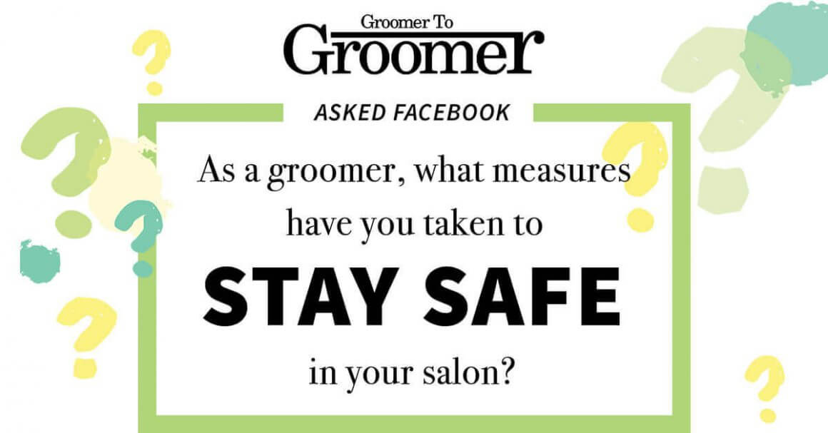 As a Groomer What Measures Have You Taken to Stay Safe in Your Salon?