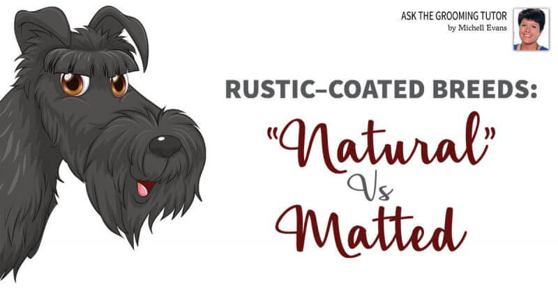 Rustic-Coated Breeds: "Natural" vs Matted