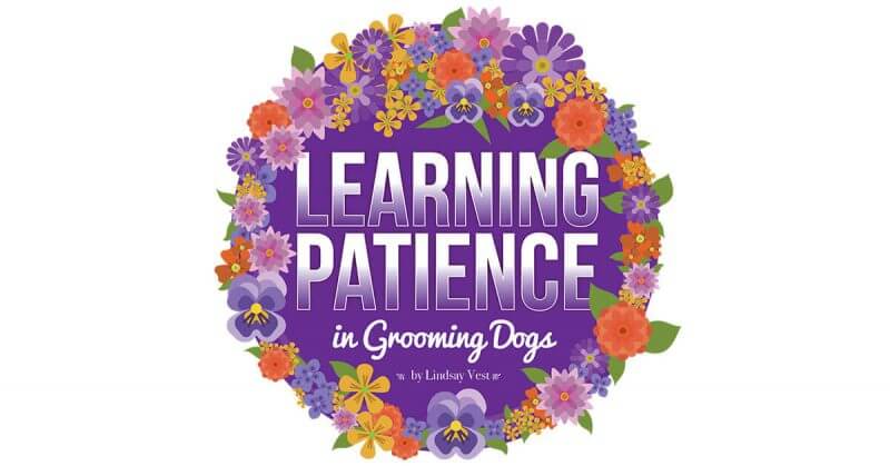 Learning Patience in Grooming Dogs