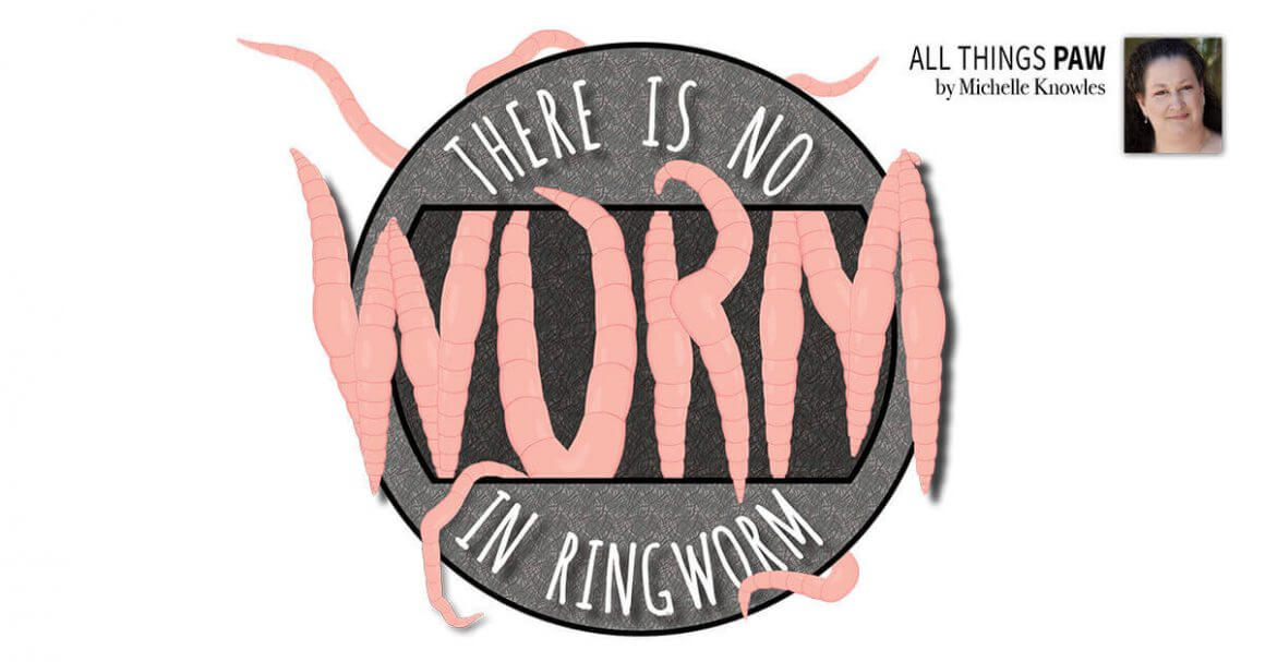 There Is No Worm in Ringworm