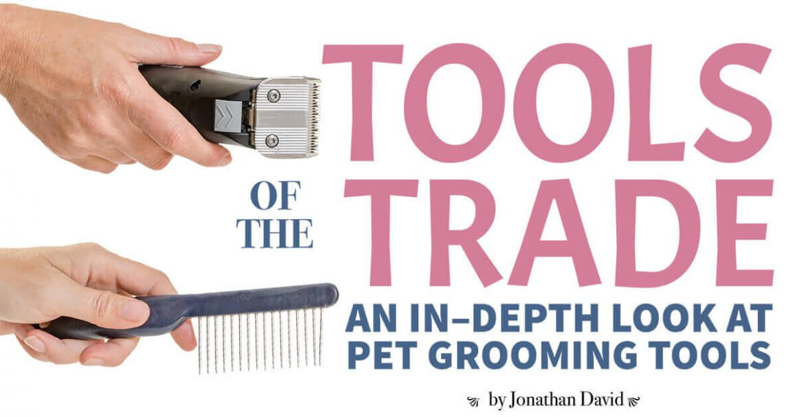 Tools of the Trade: An In-Depth Look at Pet Grooming Tools