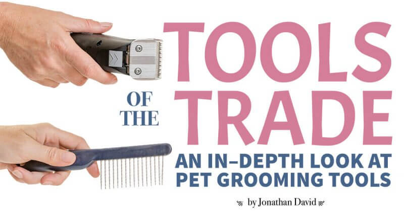 Tools of the Trade: An In-Depth Look at Pet Grooming Tools