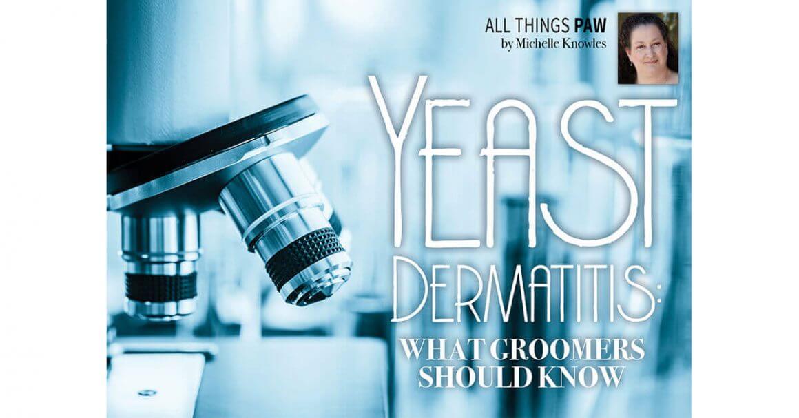 Yeast Dermatitis: What Groomers Should Know