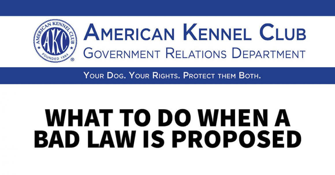 AKC Government Relations: What to Do When a Bad Law Is Proposed