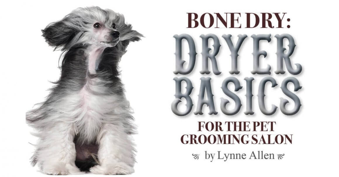 Bone Dry: Dryer Basics for the Pet Grooming Salon
