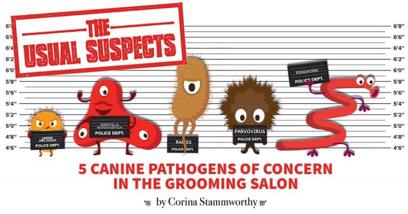 canine pathogens