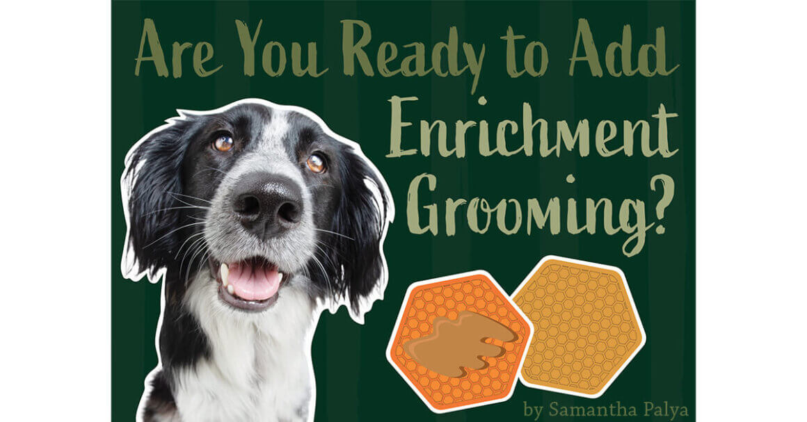 Spice up my life! The ins and outs of canine enrichment